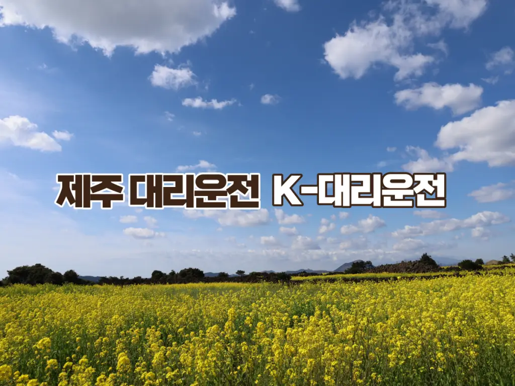 제주 대리운전 K-대리운전