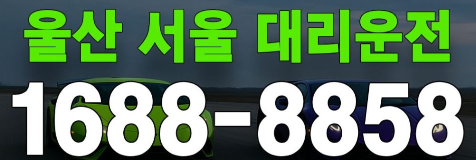 울산 서울 대리운전 서비스 안내 이미지