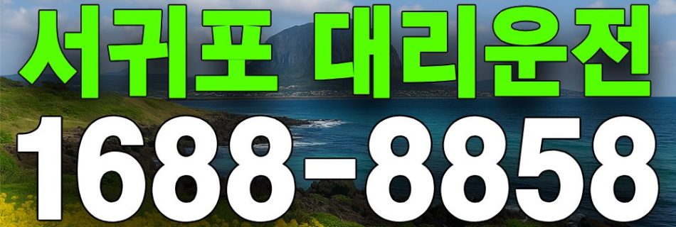 서귀포 대리운전 서비스 안내 이미지
