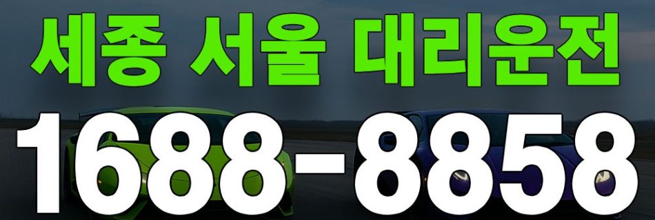 세종 서울 대리운전 서비스 안내 이미지