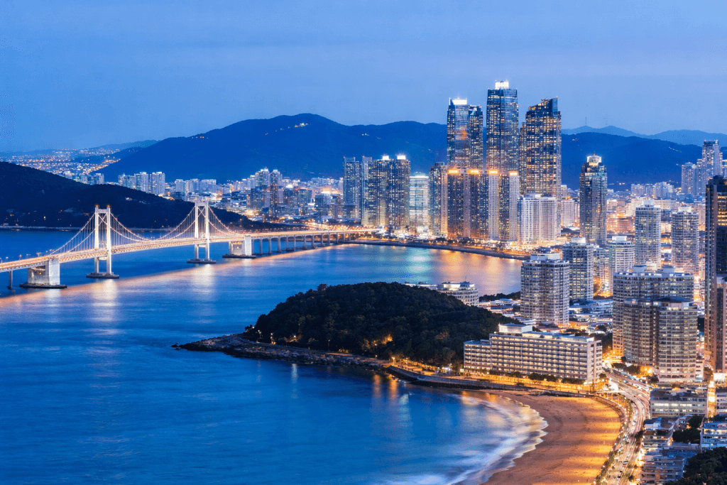 서면 대리운전 야간 배차 이동 서비스